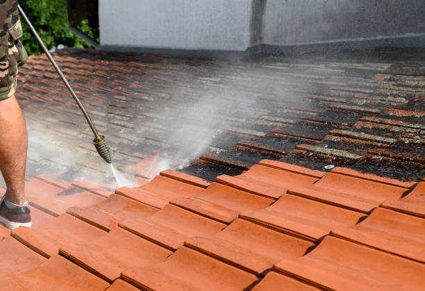 Best Commercial Building Pressure Washing  in Palmetto, FL