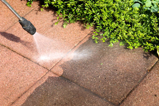 Best Pressure Washing Cost  in Palmetto, FL